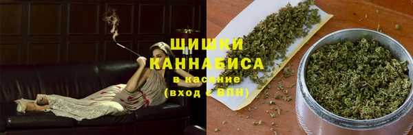 МДПВ Вяземский